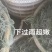 【高品质】碱蓬草产地直供一手货源价格实惠量大欢迎