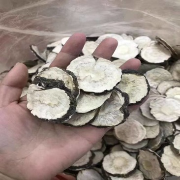 云南乌灵参干货中药材枞蛋正宗正品雷震子鸡切片新鲜金钟乌苓