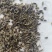 新产南沙参种子药材种子沙参籽春秋种植一年生论斤卖