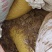 【实力优选】云南菜籽饼/建水菜籽饼/一手货源量大价美