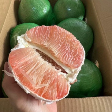 青皮红心柚汁多甜口