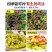 【三青皮莴笋苗】穴盘莴苣苗青莴苣苗，对接电商档口
