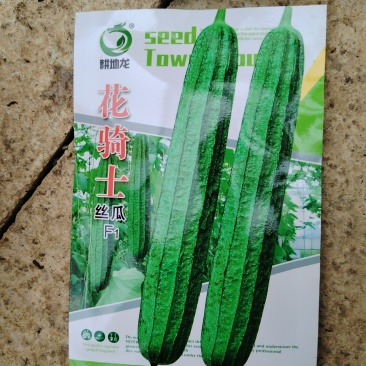 八角丝瓜