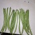 小金豆