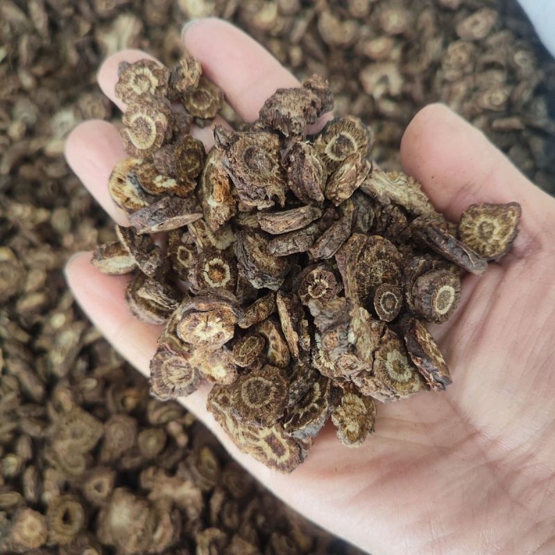 羌活野生羌活家种羌活正品质量保证假一赔十……