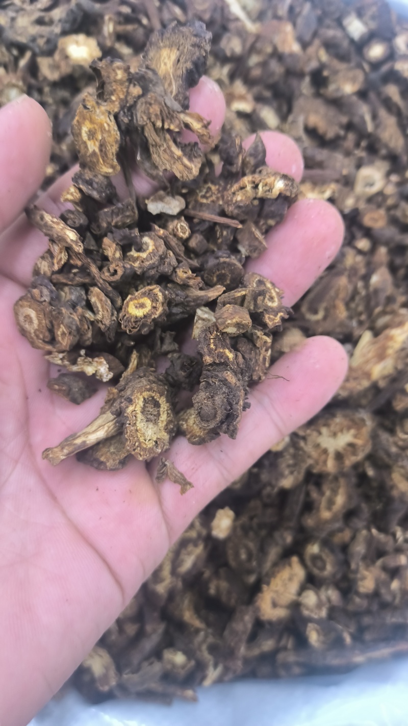 羌活野生羌活家种羌活正品质量保证假一赔十……