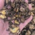 羌活野生羌活家种羌活正品质量保证假一赔十……