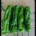 高山精品薄皮椒芜湖椒大量上市品质保证一手货源