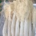 福建古田县头茬竹荪小包装，可代加工，量大从优，