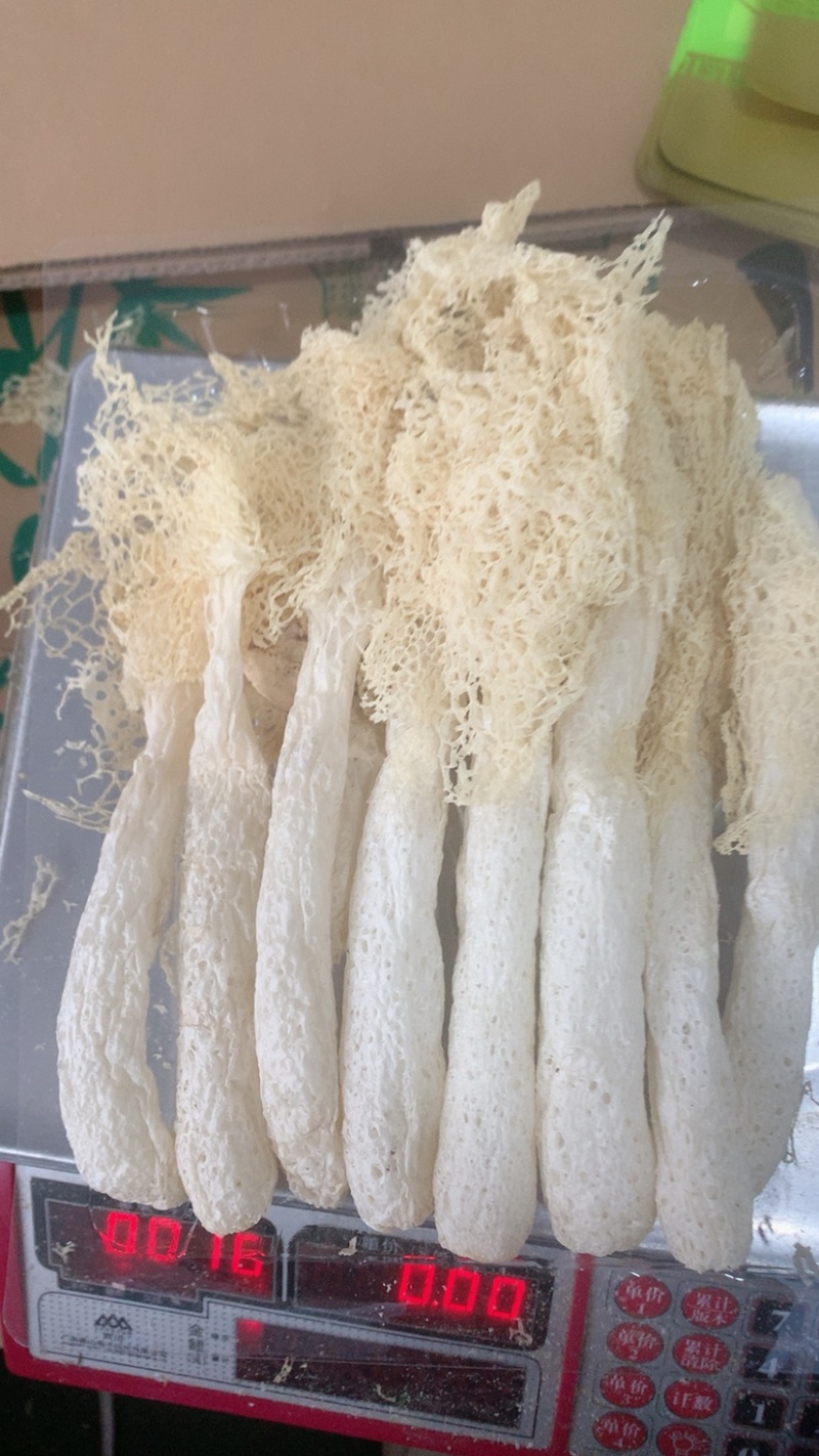 福建古田县头茬竹荪小包装，可代加工，量大从优，