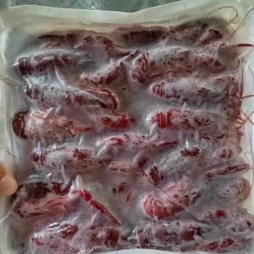 龙虾
