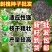 刺槐种子厂家一手货源批发品质保证价格美丽欢迎咨询