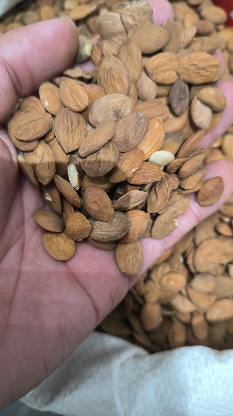 桃仁山桃仁家桃仁炒桃仁去皮桃仁正品质量保正…
