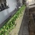 速冻西兰花