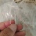 红薯粉条中粉，支持一件代发，品质保证，可视频看货，量大从优