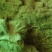 红薯粉条中粉，支持一件代发，品质保证，可视频看货，量大从优