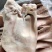 猪耳