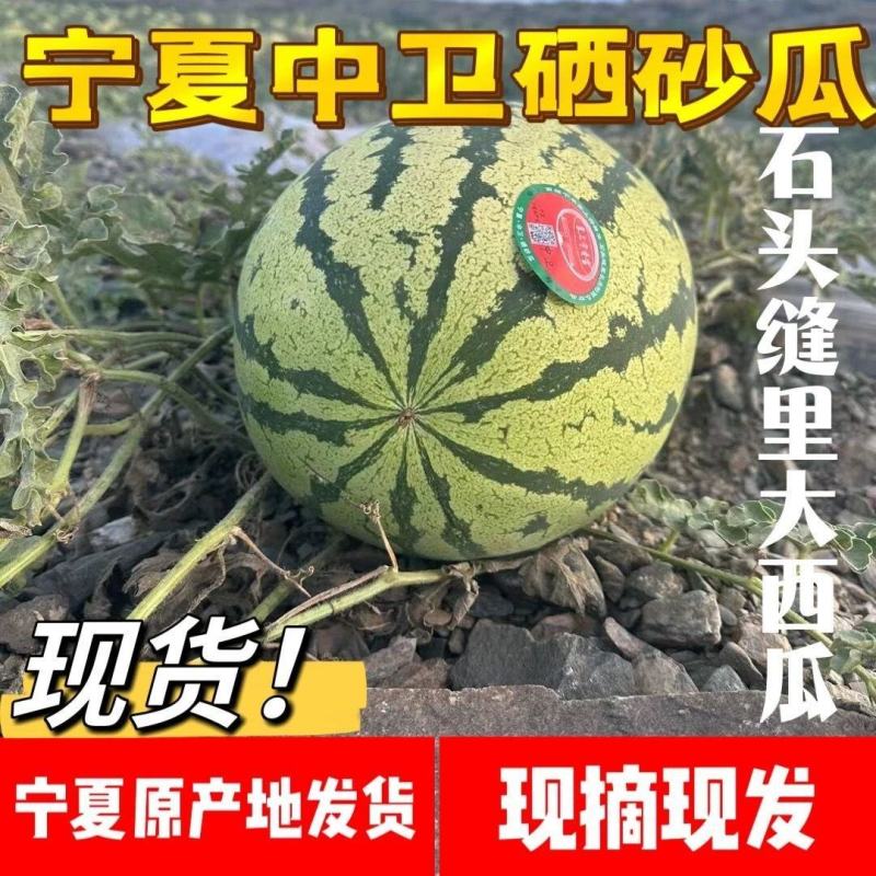 宁夏硒砂瓜石头瓜，一手货源，全国发货，可视频看货，诚信