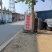 精品露天夏黑大量上市中要什么档次有什么档次