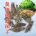臭椿种子厂家一手货源批发品质保证价格美丽欢迎咨询