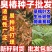 臭椿种子厂家一手货源批发品质保证价格美丽欢迎咨询