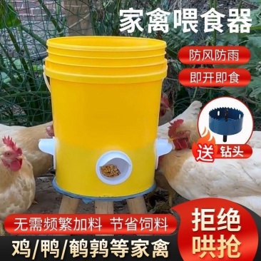 家禽自动下料喂食槽