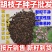 胡枝子种子厂家一手货源批发品质保证价格便宜欢迎咨询