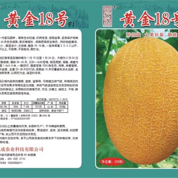 **黄网二五黄金18耐低温大果抗裂上糖快糖度高