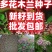 多花木兰护坡固土专用草籽荒山复绿灌木厂家批发直销