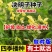 决明子种子厂家一手货源批发品质保证价格便宜欢迎咨询