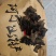 阿尔山林下木耳基地直供质量保障欢迎选购对接市场