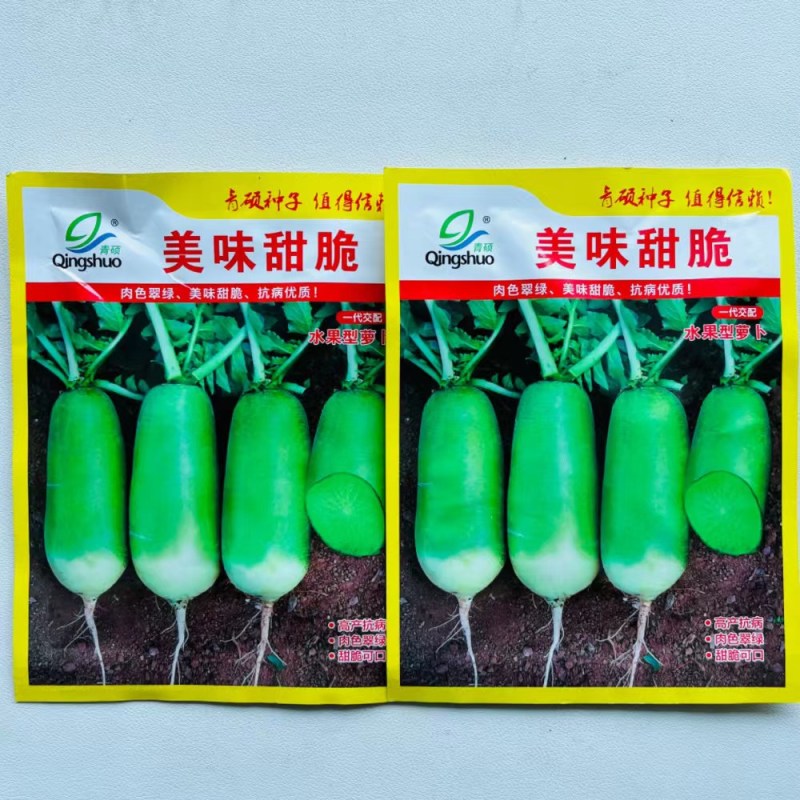 甜脆水果萝卜种子天津沙窝甜脆潍县青萝卜种子籽种春秋