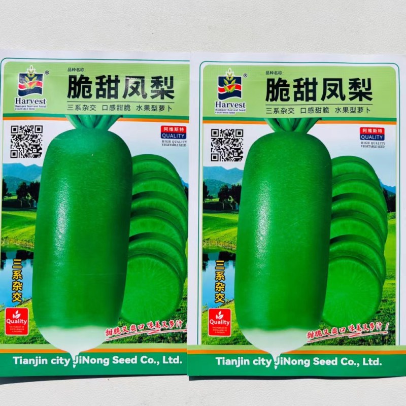萝卜种子脆甜凤梨水果萝卜种子甜脆爽囗味美多汁抗病青皮萝卜