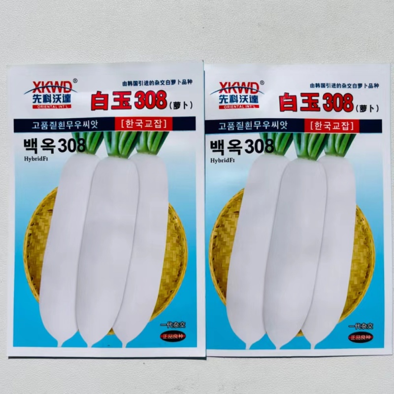 白玉308白萝卜种子韩国引进杂交白萝卜种籽高产优质四季蔬
