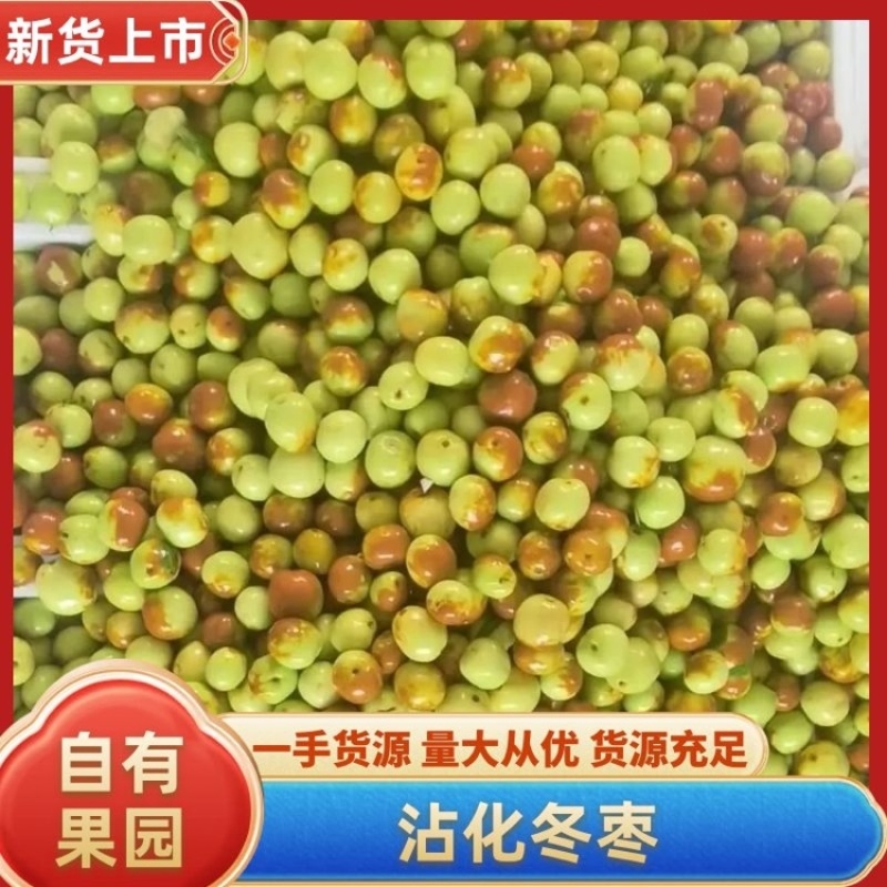 山东沾化冬枣，自家果园，现摘现发，支持一件代发，欢迎咨询
