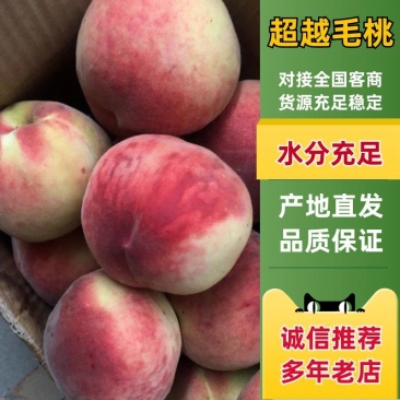 山东超越毛桃四两起红毛桃脆甜全国发货可视频看货