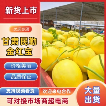 【热卖推荐】海南哈密瓜产地直销量大从优可视频