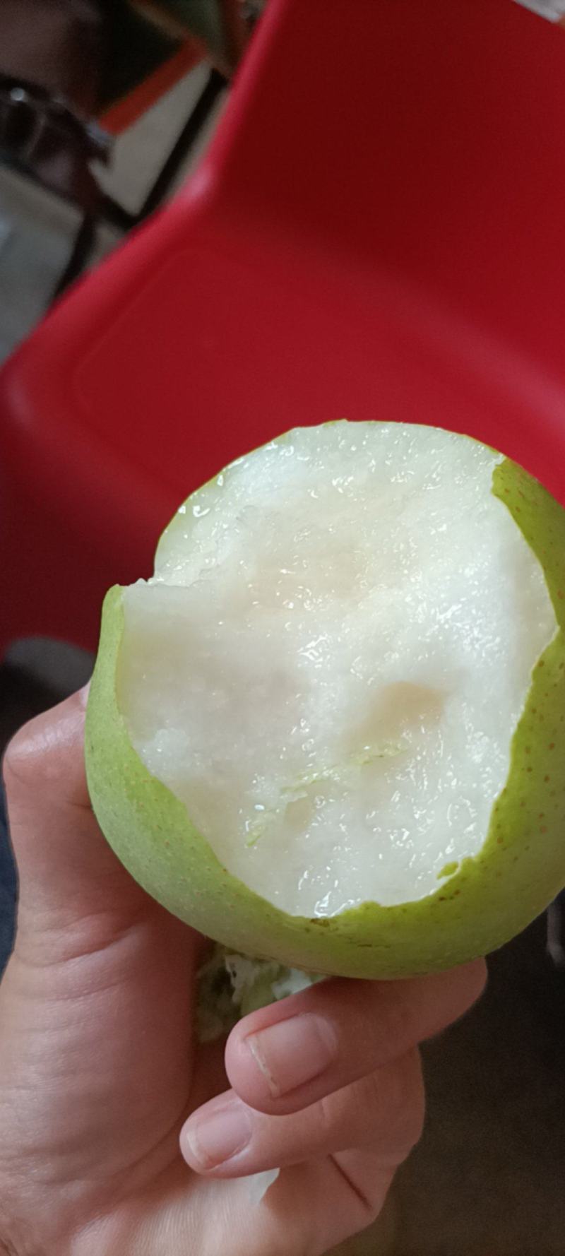 湖北省襄阳市翠冠梨已上市，本人做农产品多年，欢迎老板们来
