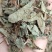 鱼腥草，过筛吸尘，今年新货，欢迎选购，支持在线下单