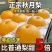 全网一件代发秋月梨
