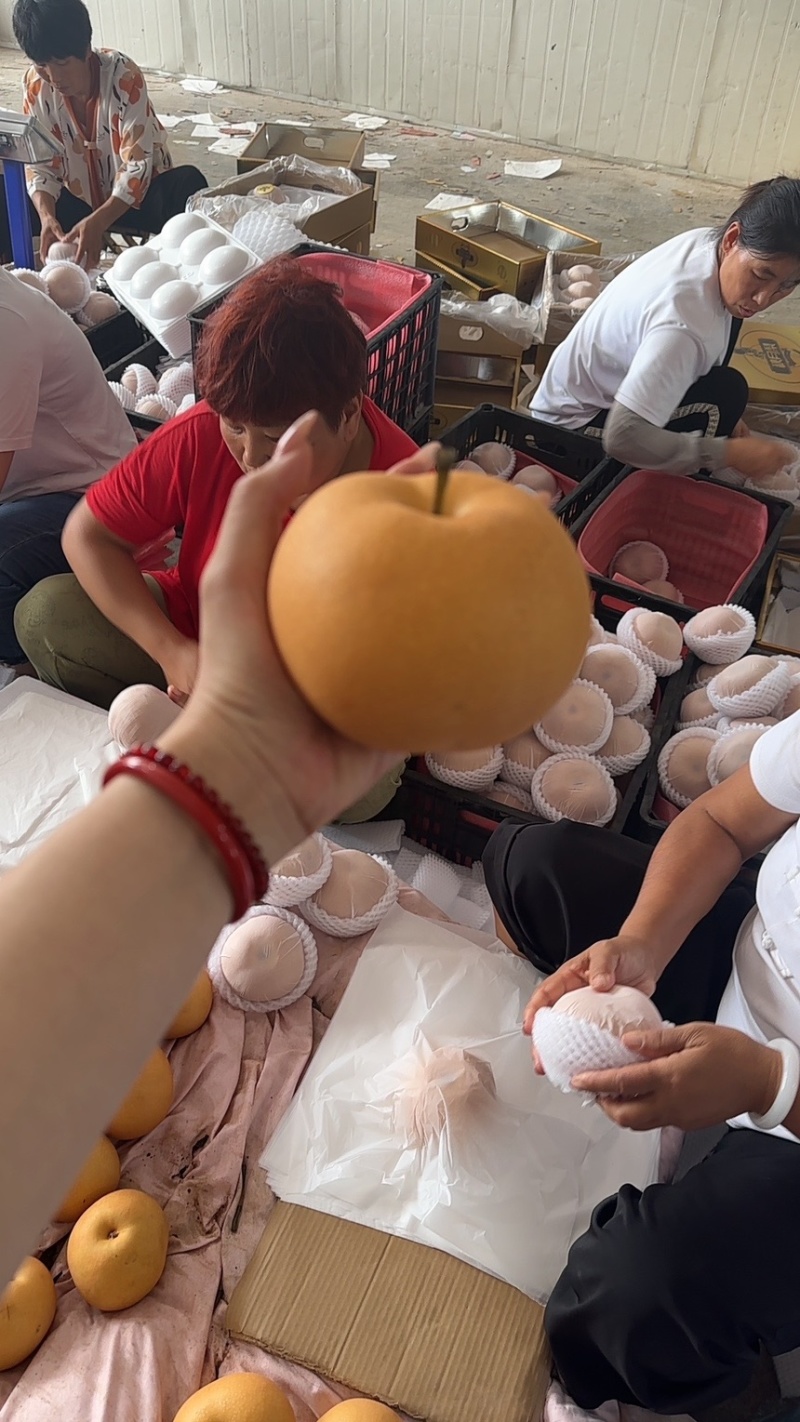 全网一件代发秋月梨