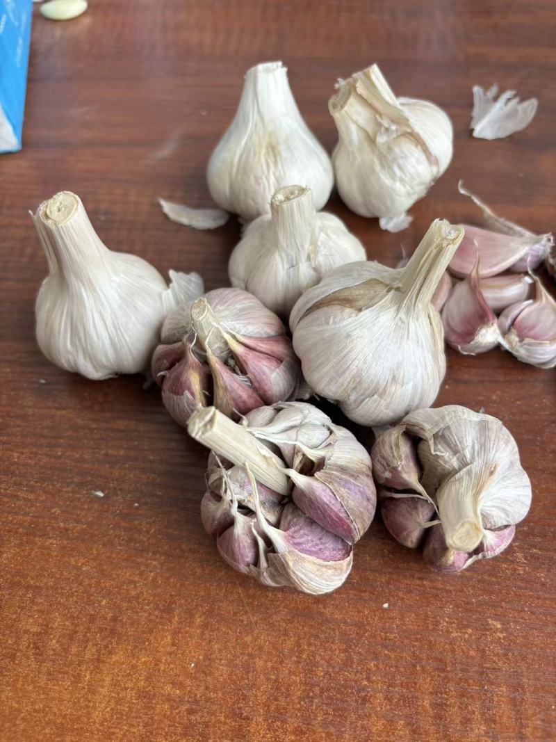 彭州大蒜种子蒜米蒜瓣正月早二水早