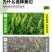 狗尾草种子厂家一手货源批发品质保证价格便宜欢迎咨询