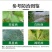 雷击40%苯甲吡唑酯果树葡萄白粉病农药杀菌剂