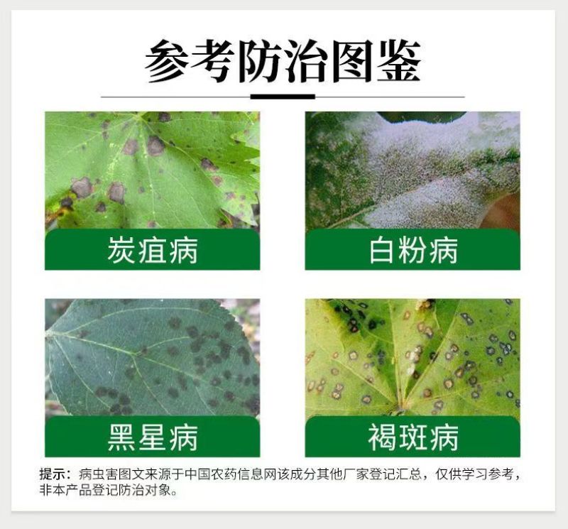 雷击40%苯甲吡唑酯果树葡萄白粉病农药杀菌剂