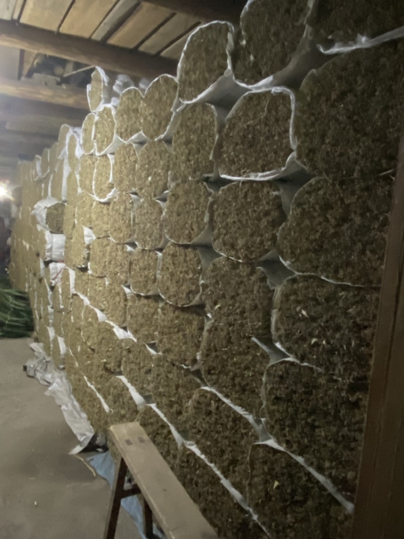 福建高山野生粽叶出售