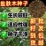 盐肤木种子厂家一手货源批发品质保证价格美丽欢迎下单咨询
