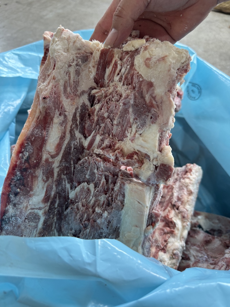 牛腰椎骨