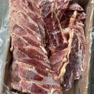 牛羽骨