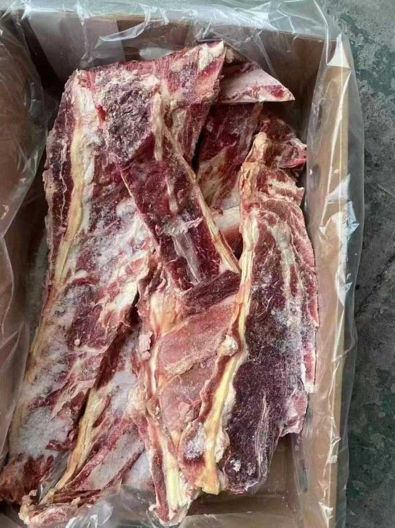 牛羽骨